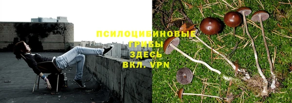 твердый Армянск