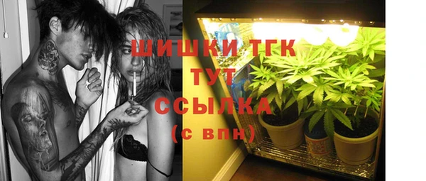 твердый Армянск