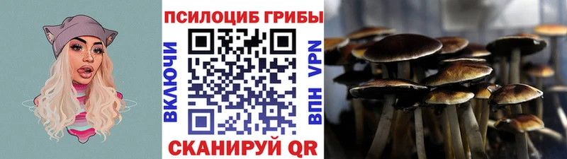 Галлюциногенные грибы Psilocybine cubensis  кракен ССЫЛКА  Покровск 